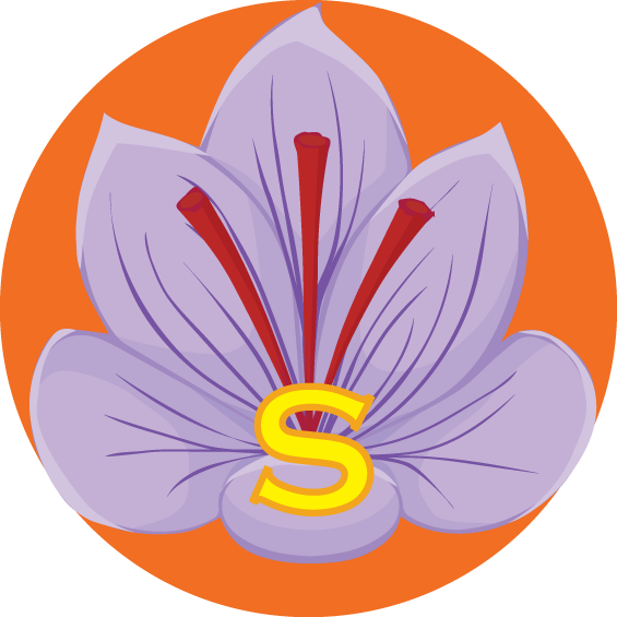 My Logo